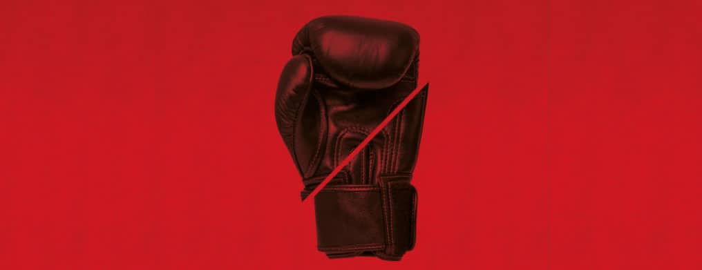 boxing glove